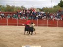 lgt_24_09_06_toros_jlg_11.JPG