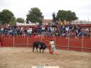 Nombre del archivo=lgt_24_09_06_toros_jlg_12.JPG
Tamaño del archivo=256KiB
Dimensiones=1300x975
Fecha añadida=F d, Y lgt_24_09_06_toros_jlg_12.JPG