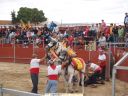 Nombre del archivo=lgt_24_09_06_toros_jlg_9.JPG
Tamaño del archivo=226KiB
Dimensiones=1300x975
Fecha añadida=F d, Y lgt_24_09_06_toros_jlg_9.JPG