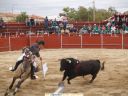 Nombre del archivo=lgt_24_09_06_toros_jlt_16.JPG
Tamaño del archivo=246KiB
Dimensiones=1300x975
Fecha añadida=F d, Y lgt_24_09_06_toros_jlt_16.JPG