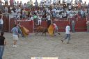 lgt_fst_24_09_05_toros_1.jpg