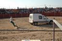 lgt_fst_24_09_05_toros_6.jpg
