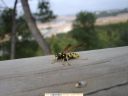 lgt_paseo_norte_invierno_2.JPG