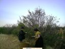 lgt_rosaleda_tercer_premio_fotografia_dipurural_1.JPG