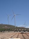 Nombre del archivo=molinos_nuevos_final.JPG
Tamaño del archivo=239KiB
Dimensiones=975x1300
Fecha añadida=F d, Y molinos_nuevos_final.JPG