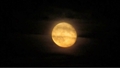 moonlight-shadow-lgt.mp4