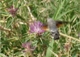 naturaleza_perejon_video_1.mp4