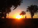 puesta-sol.gif