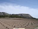 villapalomas_1.JPG