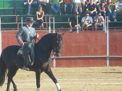 Rejoneador Javier Cano
Novillada picada mixta con 5 toros de la acreditada ganadería de Valdosancho de Armuña de Tajuña (Guadalajara)
