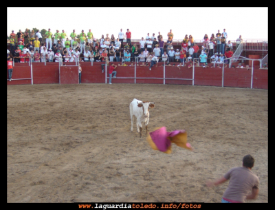 Vaquilla dia 24
Suelta de la vaquilla tras los toros el dia 24

Palabras clave: vaquilla toros