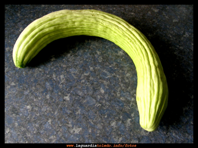 Cohombro
El Cohombro,tambien llamado pepino fino, alpicoz o pepino/melón serpiente. pertenece a la familia de las cucurbitáceas sobre todo se cultiva por el Levante, aunque muy extendido en los huertos Manchegos y un clasico en los gazpachos guardiolos. Algo más aromático que el pepino comun,con la misma textura y una gran cantidad de semillas teniendo un sabor peculiar.
Obsequios de mi tío Jesús a los cuales daré salida con gusto.
Palabras clave: Cohombro