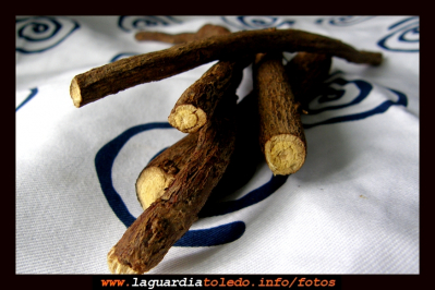 Paloduz,palolú,regalí.
¿Quien no ha ido en "cá la Vale " a por un duro de palolú  ?
Todavía hay mucho aficionado a coger una azada un día después de lluvia (para que el terreno este blandito) y acercarse a varios parajes de La Guardia a cavar para extraer esta raíz dulce, La carretera a Villa, y el Barranco del Gallo son conocidos por albergar esta planta.Seguro que más de uno ha saboreado este caramelo natural que existía por aquellos años.

Palabras clave: Paloduz,palolú,regalí.