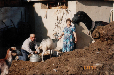 Modesto y Germana 1993
Modesto y Germana ordeñando las cabras en el corral (año 1993)
Palabras clave: Modesto Germana Pastor