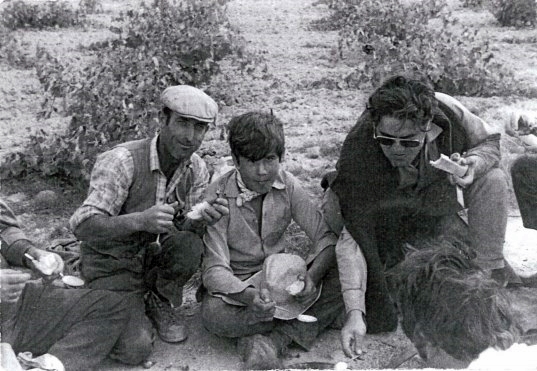 La vendimia
Vendimia 1976, en el Batán. Francisco Hijosa, Jose luis Zamorano y Manolo Zamorano
Palabras clave: vendimia 
