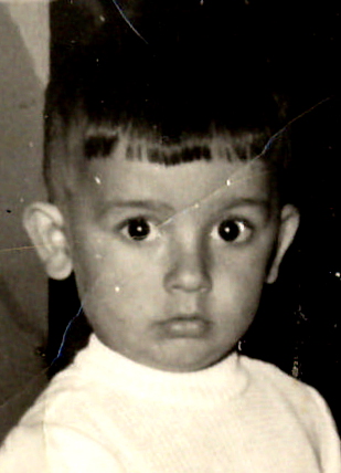 José Luis Tejero
DICCIONARIO
