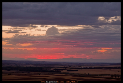 Magenta
Segundo premio del concurso de fotografía 2012. Autor: Boni
Palabras clave: magenta concurso fotografia boni