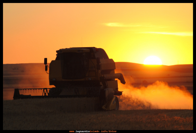 La siega
Tercer premio del concurso de fotografía 2012. Autor: Iván Santiago
Palabras clave: siega concurso fotografia ivan