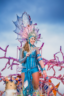 Carnaval 2017
Pasacalles y concurso del domingo 5-3-17
Palabras clave: carnaval 2017