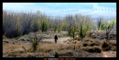 IV Marcha de Quijotes en Ruta -  Pinceladas verdes en el invierno de La Fuenta de la Peña -
ASOCIACIONES DEPORTIVAS: pTupi. Quijotes en Ruta
Palabras clave: IV Marcha de Quijotes en Ruta -  Pinceladas verdes en el invierno de La Fuenta de la Peña -