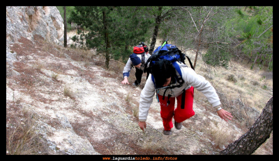 III Ruta a Pie organizada por Quijotes en Ruta 21 de noviembre de 2009 - Ascensión al la cima de Los Grajos
ASOCIACIONES DEPORTIVAS: pTupi - quijotes en Ruta
Palabras clave: III Ruta a Pie organizada por Quijotes en Ruta 21 de noviembre de 2009 - Ascensión al la cima de Los Grajos