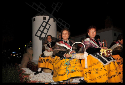 Carroza de Reina y damas manchegas 2010
FIESTAS, CELEBRACIONES Y TRADICIONES: -> Fiestas de Castilla La Mancha
