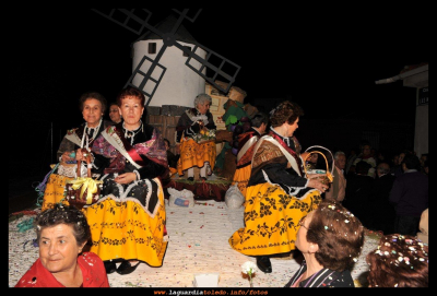Carroza de Reina y damas manchegas 2010
FIESTAS, CELEBRACIONES Y TRADICIONES: Fiestas de Castilla la MAncha
