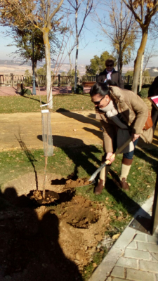 Proyecto Olmo
Proyecto de la Diputación de Toledo, Ayuntamiento de La Guardia y Fundación Soliss para la recuperación de esta especie autóctona. Para ello se ha plantado un olmo esta mañana en el Paseo del Norte (6-12-17).
Palabras clave: proyecto olmo