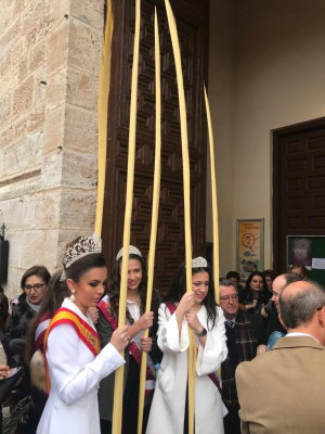 Las palmas
las palmas en manos de nuestra reina y damas
25 de marzo de 2018
