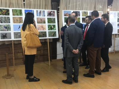 Inauguración de las exposiciones
Exposición de Las Lagunas
