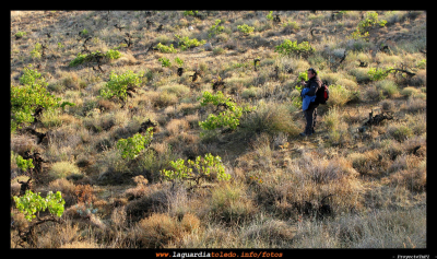 I Ruta a Pie organizada por Quijotes en Ruta 19 de septiembre de 2009 - Unas veces por veredas y otras campo a través...
Palabras clave: I Ruta a Pie organizada por Quijotes en Ruta 19 de septiembre de 2009 - Unas veces por veredas y otras campo a través...