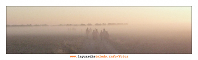 II Ruta a pie para descubrir La Mancha 17 de octubre de 2009
Palabras clave: II Ruta a pie para descubrir La Mancha 17 de octubre de 200