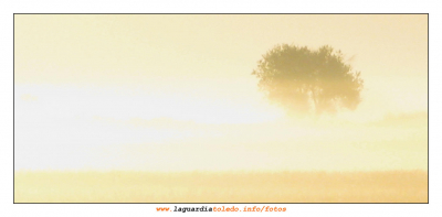 II Ruta a pie para descubrir La Mancha 17 de octubre de 2009
ASOCIACIONES CULTURALES: Proyecto Tupi
Palabras clave: II Ruta a pie para descubrir La Mancha 17 de octubre de 200
