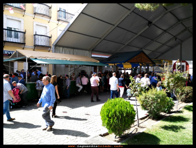 La cervecita 
26 de Septiembre por la mañana, hora del pincho moruno y el montaito  de morcilla, fiestas 2016.
Palabras clave: pincho moruno morcilla fiestas