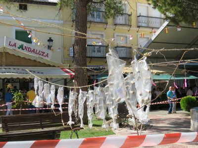 Detalle de la pólvora del día 24. Fiestas 2016
