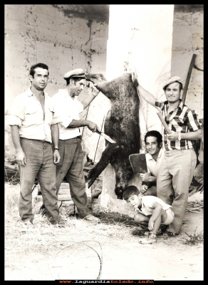 LA MATANZA
De matanza de un jabalí cazado.  Pablo Pedraza, Rufino Pedraza, Adrian Mora, Vicente Muñoz el niño José Luis Pedraza. Año 1973
Palabras clave:  matanza  jabalí 