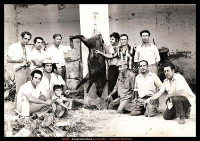 La caza
Caza de jabalí 1974.
En la foto, por la izq de pie: Jesús Valero, Juanito Guzmán, Pablo Pedraza, Sigfredo, Adrian Mora y Eusebio Roncero.
Agachados: Vicente muñoz, Rufino Pedraza junto a él su hijo José, Juan Valero, José, Juanito Cabello y Morata.   

Palabras clave: Caza de jabalí