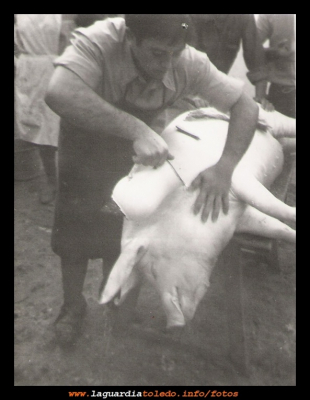 La matanza
La matanza, José (el carnicero) pelando un cerdo. Años 70. 
Palabras clave: pelando un cerdo