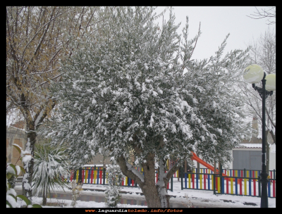 La nevada
Ya que en este invierno del 2012 aun no hemos visto la nieve, la recordamos con esta foto de Enero del 2009.
EL CURSO DEL AÑO: < El invierno
Palabras clave: invierno del 2012  nieve Enero del 2009
