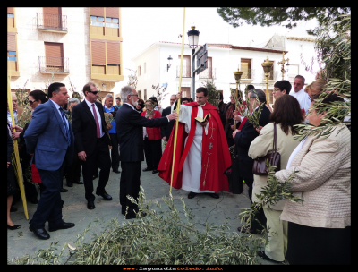 Las palmas
Domingo de Ramos (29-3-2015)
Palabras clave: Domingo de Ramos