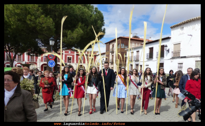 Domingo de Ramos II
Corte de honor 2015 con las palmas, en la procesión del domingo de ramos 20-3-2016
Palabras clave: Semana Santa 2016