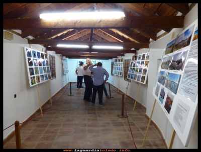 Exposición V
Inauguración de las distintas exposiciones en las casa de los Jaenes. (23-9-2017)
Fotografías sobre las lagunas. 
Organizado por la asociación "Amigos de las lagunas" 
Palabras clave: exposiciones casa Jaenes