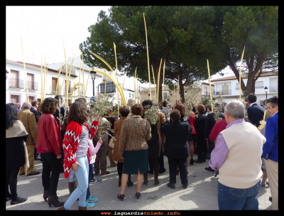 Palmas y olivos
Domingo de Ramos (29-3-2015)
Palabras clave: Domingo de Ramos