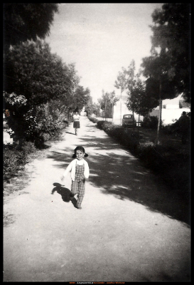 Paseo del Norte, año 1969
En esta fotografía se ven los árboles pequeños, porque fueron sustituidos por los primeros que se plantaron (los chopos), que no eran apropiados para el terreno y en pocos años se secaron.  
La niña que va corriendo por el paseo es: Mª Carmen Nuño Morales
LOS ESCENARIOS DE LA VIDA: Los Barrios. < El Paseo del Norte
Palabras clave: Paso del norte, año 1969.
