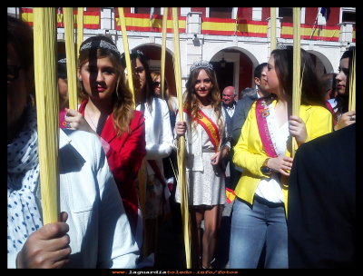 Reina y damas
Domingo de Ramos (13-4-2014)
Palabras clave: Domingo de Ramos 