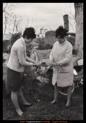 Urbani y Luisa
Urbana y Luisa del Castillo pelando un pollo. Años 60
Palabras clave: pelando un pollo. Años 60