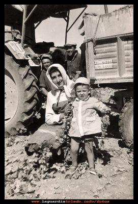 Vendimia
Vendimia 1960, en la casa de Pepe Guzmán, en la foto: el tractorista Tomás, al lado Faustino Ruiz Muñoz y Tere Soriano con el niño Rafael de la Mata.
Palabras clave: Vendimia 1960