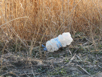 Basura en las lagunas de La Guardia
