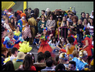 Loritos
Primer premio local
Palabras clave: loritos carnaval 2016
