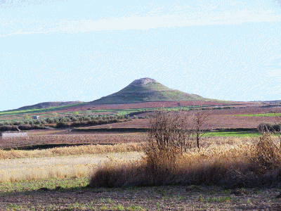 Fotos en primavera en las inmediaciones de la casa del Sastre. 19-3-2017
